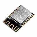 ESP-12F Module